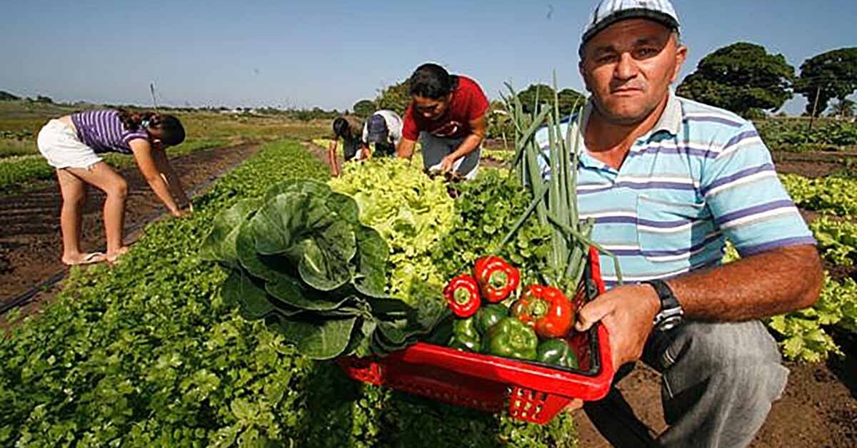 Negócios rurais aumentam faturamento em 24,2% com programa de inovação