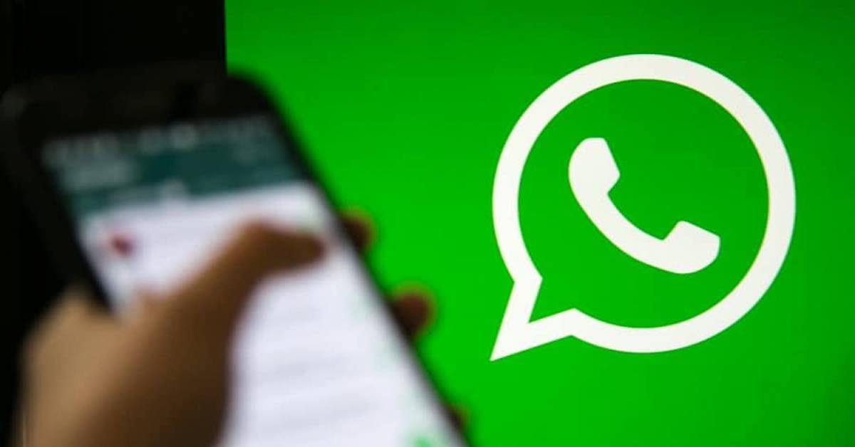 Saiba qual postura adotar em grupos de WhatsApp de trabalho