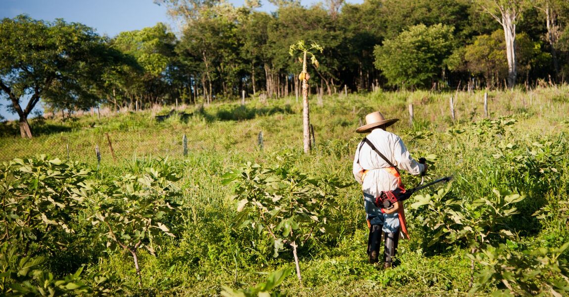 Governo estuda novas regras para proteger trabalhadores expostos ao calor